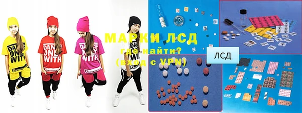 мдпв Инта