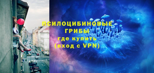 мдпв Инта