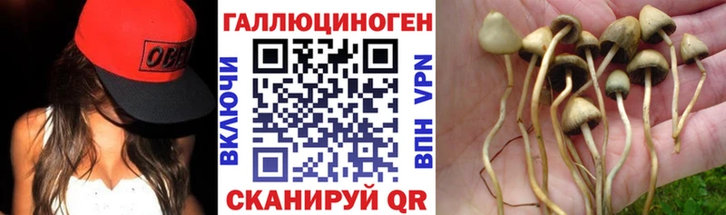 Купить где  Инта  Псилоцибиновые грибы прущие грибы 