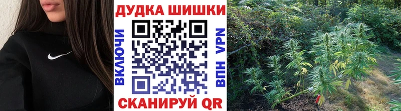 Купить  Инта  Бошки Шишки планчик 